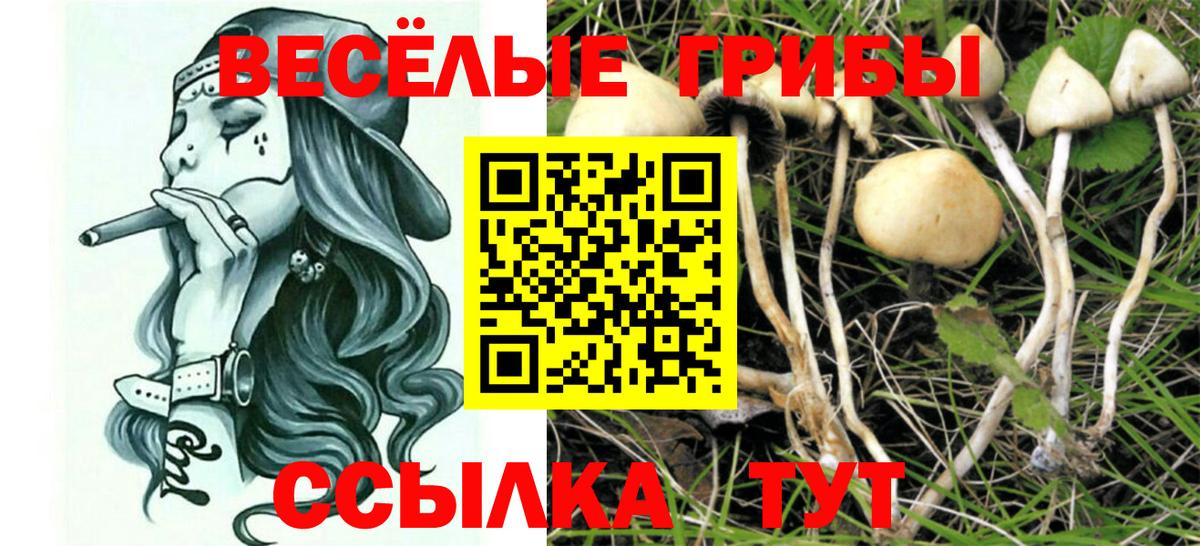 Галлюциногенные грибы MAGIC MUSHROOMS  Вход с VPN  Псилоцибиновые грибы ЛСД  Верхняя Салда 